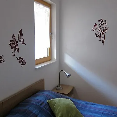 Apartament House Cviter