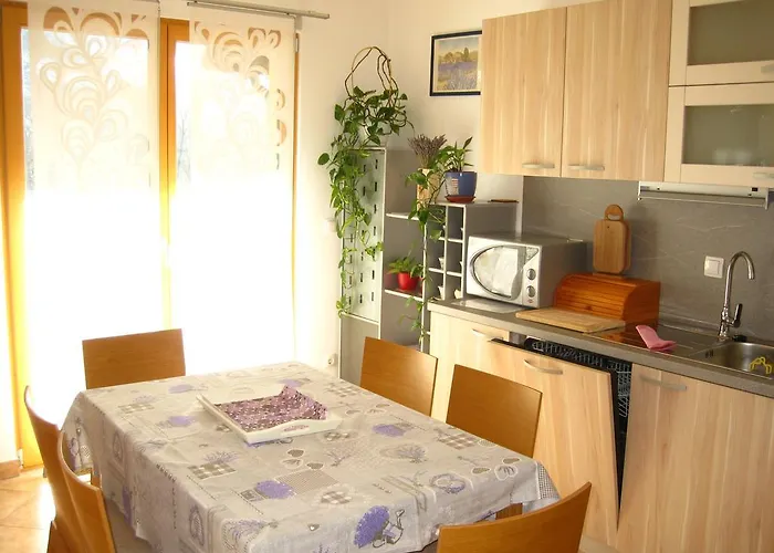 Appartement House Cviter