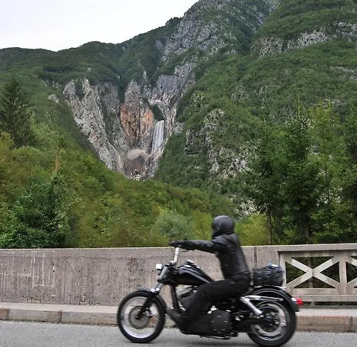 House Cviter Appartement *